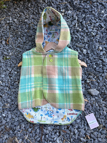 Size 3 Teal, green, brown and white tartan with dinosaurs