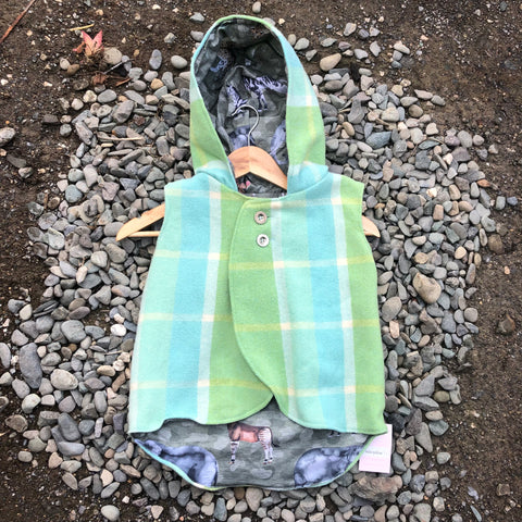 Size 5 Aqua and lime tartan with wild animals