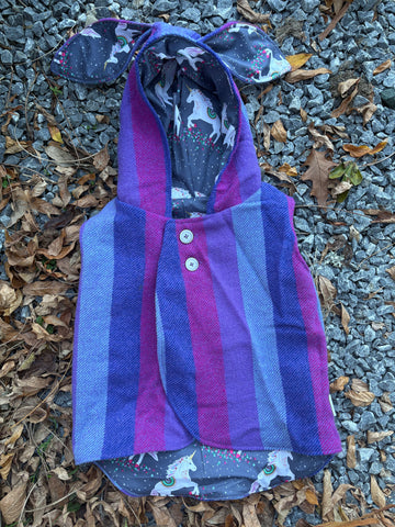 Purples and Pinks Striped Wool Vest