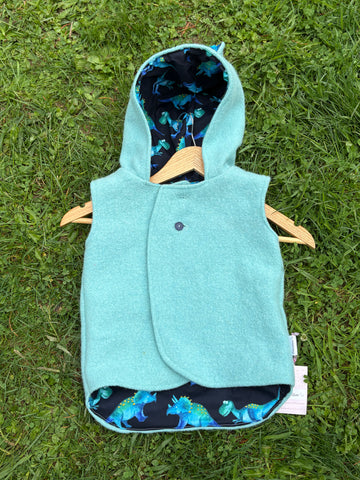 Size 2 Light blue with dark blue dinosaurs and teddy bears ears